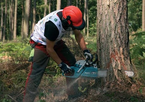 משור שרשרת בנזין 