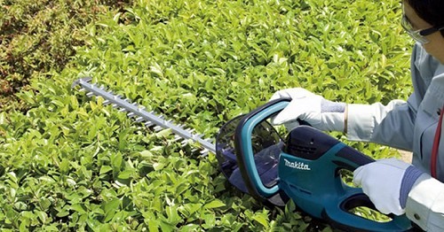 גוזם גדר חי 65 ס