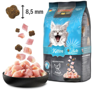 Leonard Kitten 7.5kg
