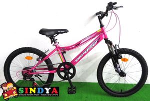 אופניים 24" BIG BIKE שלדה ברזל 7 הילוכים וורוד בולם קדמי