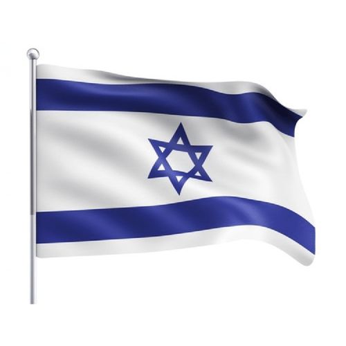 דגל ישראל  80/60 ס
