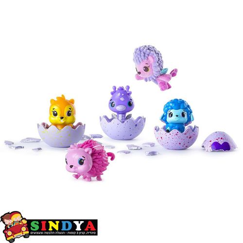 מארז + אופי בונוס Hatchimals Colleggtibles 4