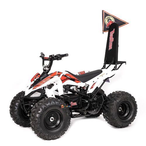 טרקטורון TR-290 48V TOMRIDE טומרייד