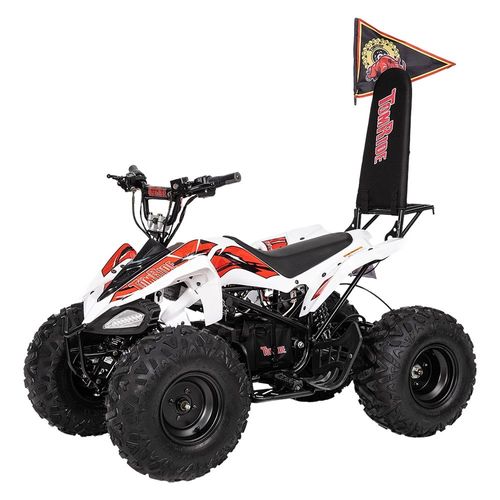 טומרייד - טרקטורון - TOMRIDE TR-290 60V