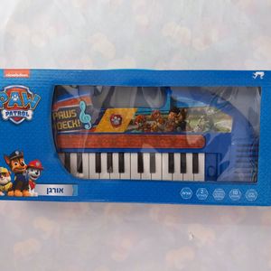 אורגן מפרץ ההרפתקאות גודל 38 ס