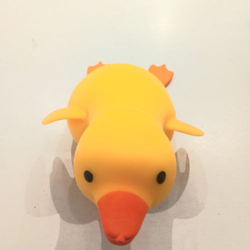 סקושי ברווז שוקל 525 גרם נמתח וניתן ללחיצה