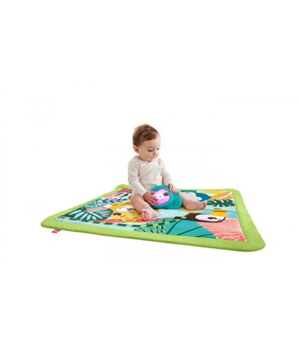 פישר פרייס - אוניברסיטה חושים 3 ב1 - FISHER PRICE HJW08