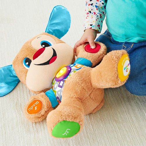 פישר פרייס - כלבלב נבון - Fisher Price FPN92