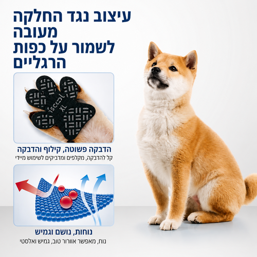 מדבקות לשמירה על כפות הרגליים לכלבים