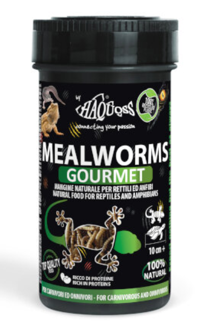 מזון זחלי קמח גורמה (MEALWORMS GOURMET) 16 גרם (100 מ"ל) לזוחלים אוכלי כל