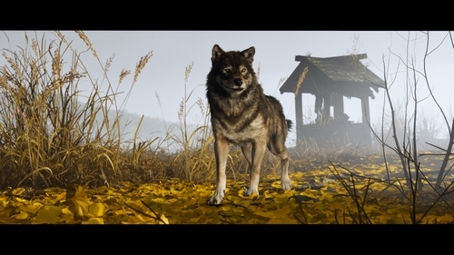 PS5 GHOST OF YOTEI PLAYSTATION
