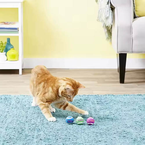 קונג לחתול כדור טניס עם פעמונים 3 יחידה