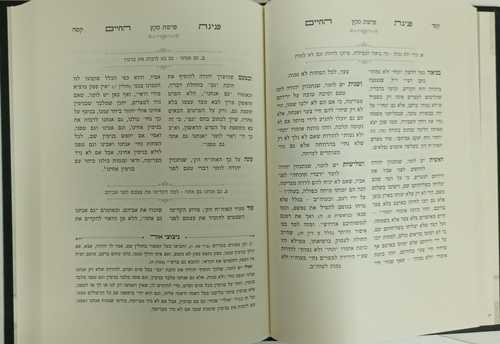 פנינת החיים ב