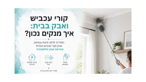 קורי עכביש ואבק בבית: איך מנקים נכון?