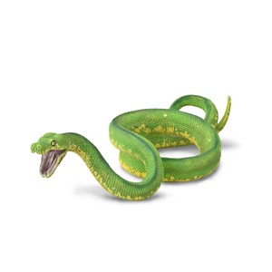 חיות בר - נחש פיתון עצים ירוק (L)