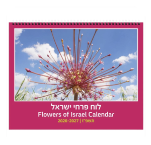 לוח 24 *30 פרחי ישראל 2026-2027