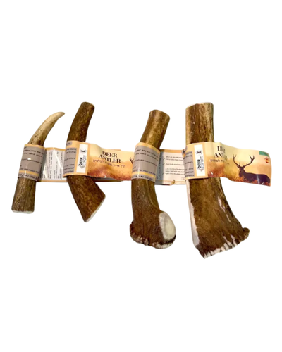 חטיף לכלב-קרן אייל מדיום חצויה (80-120גר)