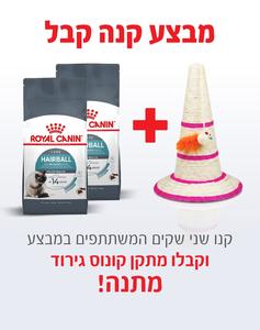 קנו 2 שקי רויאל קנין Royal canin לחתול היירבול 4 ק"ג - קבלו מתקן קונוס גירוד מתנה!