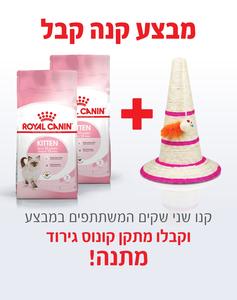 קנו 2 שקי רויאל קנין Royal canin לחתול קיטן 4 ק"ג - קבלו מתקן קונוס גירוד מתנה!