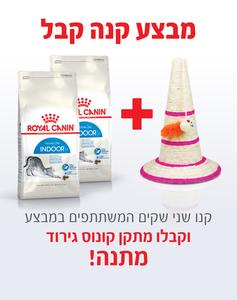 קנו 2 שקי רויאל קנין Royal canin לחתול אינדור 4 ק"ג - קבלו קונוס גירוד מתנה!