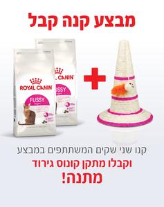 קנו 2 שקי רויאל קנין Royal canin לחתול אקסיג'נט פאסי 4 ק"ג - קבלו קונוס גירוד מתנה!