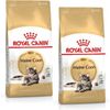 קנו 2 שקי רויאל קנין Royal canin לחתול מיינקון  4 ק"ג - קבלו מתקן גירוד קונוס מתנה!