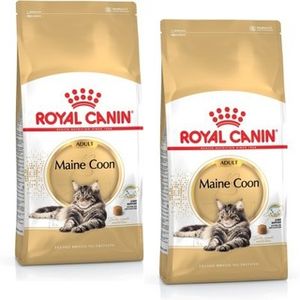 קנו 2 שקי רויאל קנין Royal canin לחתול מיינקון  4 ק"ג - קבלו מתקן גירוד קונוס מתנה!