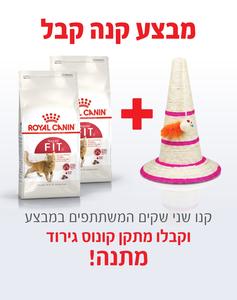 קנו 2 שקי רויאל קנין Royal canin לחתול פיט 4 ק"ג - קבלו מתקן גירוד קונוס מתנה!