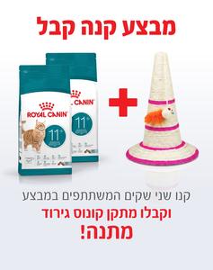 קנו 2 שקי רויאל קנין Royal canin לחתול-איג'ינג 11 פלוס 4 ק"ג - קבלו מתקן גירוד קונוס מתנה!