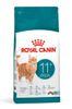 קנו 2 שקי רויאל קנין Royal canin לחתול-איג'ינג 11 פלוס  4 ק"ג - קבלו מתקן גירוד קונוס מתנה!