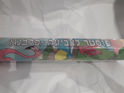 פוסטר לצביעה- פלמנגו זמן משחק