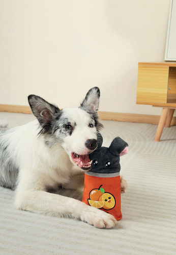 אמ פטס M-Pets פחית תפוז פלורה להחבאת חטיפים לכלב