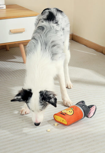 אמ פטס M-Pets פחית תפוז פלורה להחבאת חטיפים לכלב