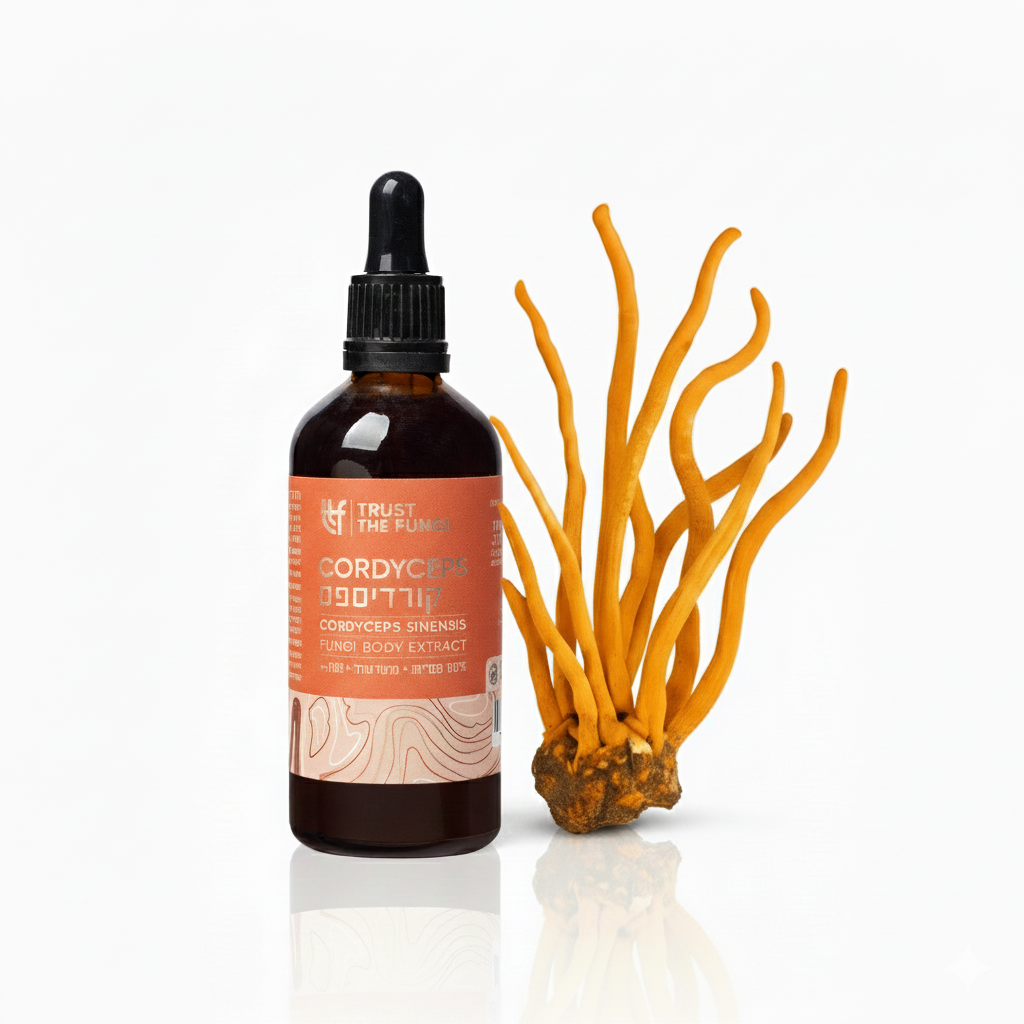 פטריית קורדיספס Cordyceps - מיצוי נוזלי 100% פטריות בשיטת FBE | תכולה 100 מ"ל | Trust The Fungi