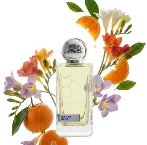בושם יוניסקס Hormone Paris This is Not Gaba Parfum 100 ml 