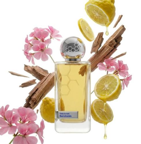 בושם יוניסקס Hormone Paris This is Not Testosterone Parfum 100 ml 