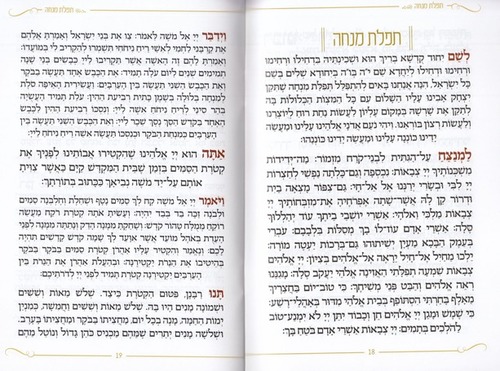 תיקון הכללי- דגם שיש