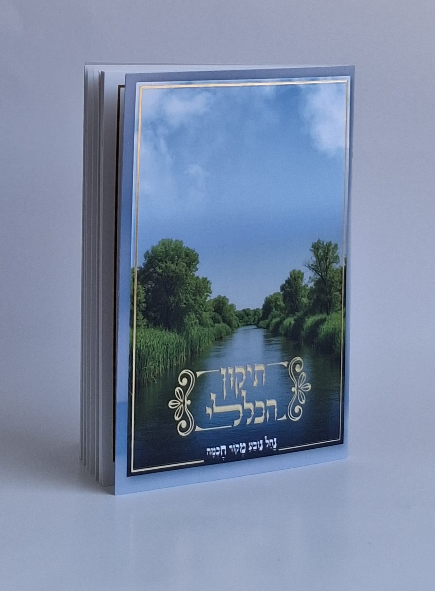 תיקון הכללי- דגם נחל נובע