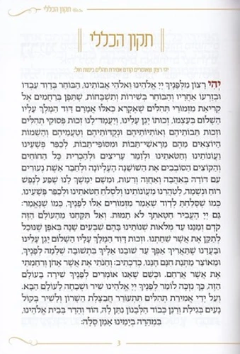 תיקון הכללי- דגם נחל נובע