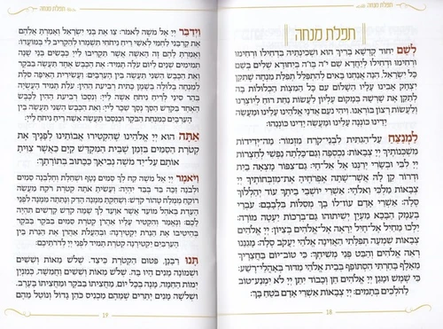 תיקון הכללי- דגם נחל נובע
