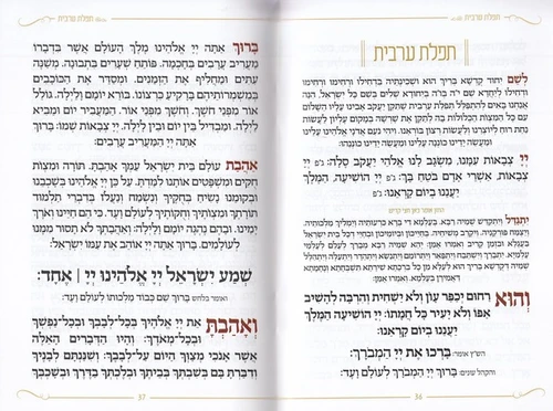תיקון הכללי- דגם נחל נובע