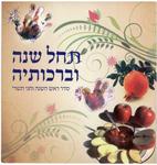 המלצת זהבה שרייבר