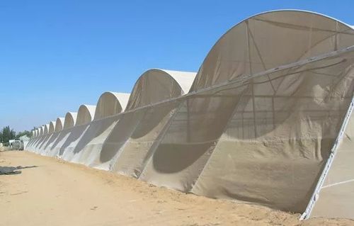 רשת הגנה מזיקים וחרקים 50 מש רוחב 3 מטר מתוצרת גניגר, מיוצרת בטכנולוגיית מונופילמנט עמידה לקרינת UV עם שוליים מחוזקים, מתאימה לחממות ובתי רשת להגנה יעילה מפני כנימות, זבוב מנהרות ותריפס