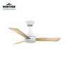‏מאוורר תקרה Young 42" NTP-YNG42-WD-LED-WF CCT עם שלט Norther