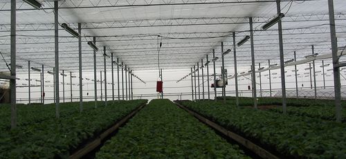 רשת צל שחורה ארוגה 40% צל של גניגר ברוחב 6 מטר, עשויה מחוטי מונופילמנט איכותיים, מיוצבת נגד קרינת UV עם אחריות 8 שנים, מתאימה לחממות ומשתלות