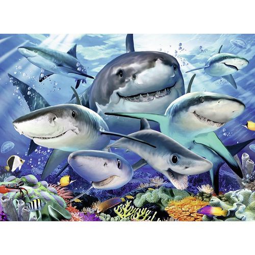 רבנסבורגר - פאזל 300 חלקים כרישים מחייכים - Ravensburger