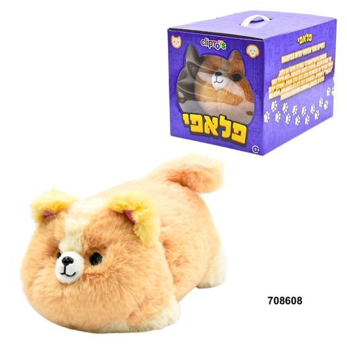 פלאפי כלב