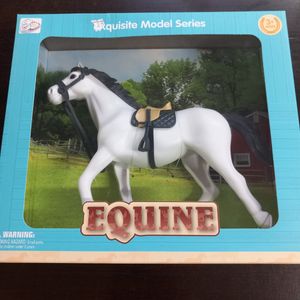 סוס בקופסה מהודרת - 1227 EQUINE