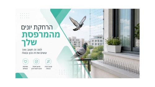 הרחקת יונים מהמרפסת שלך