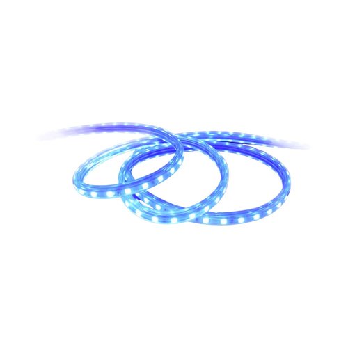 תמונה 1
